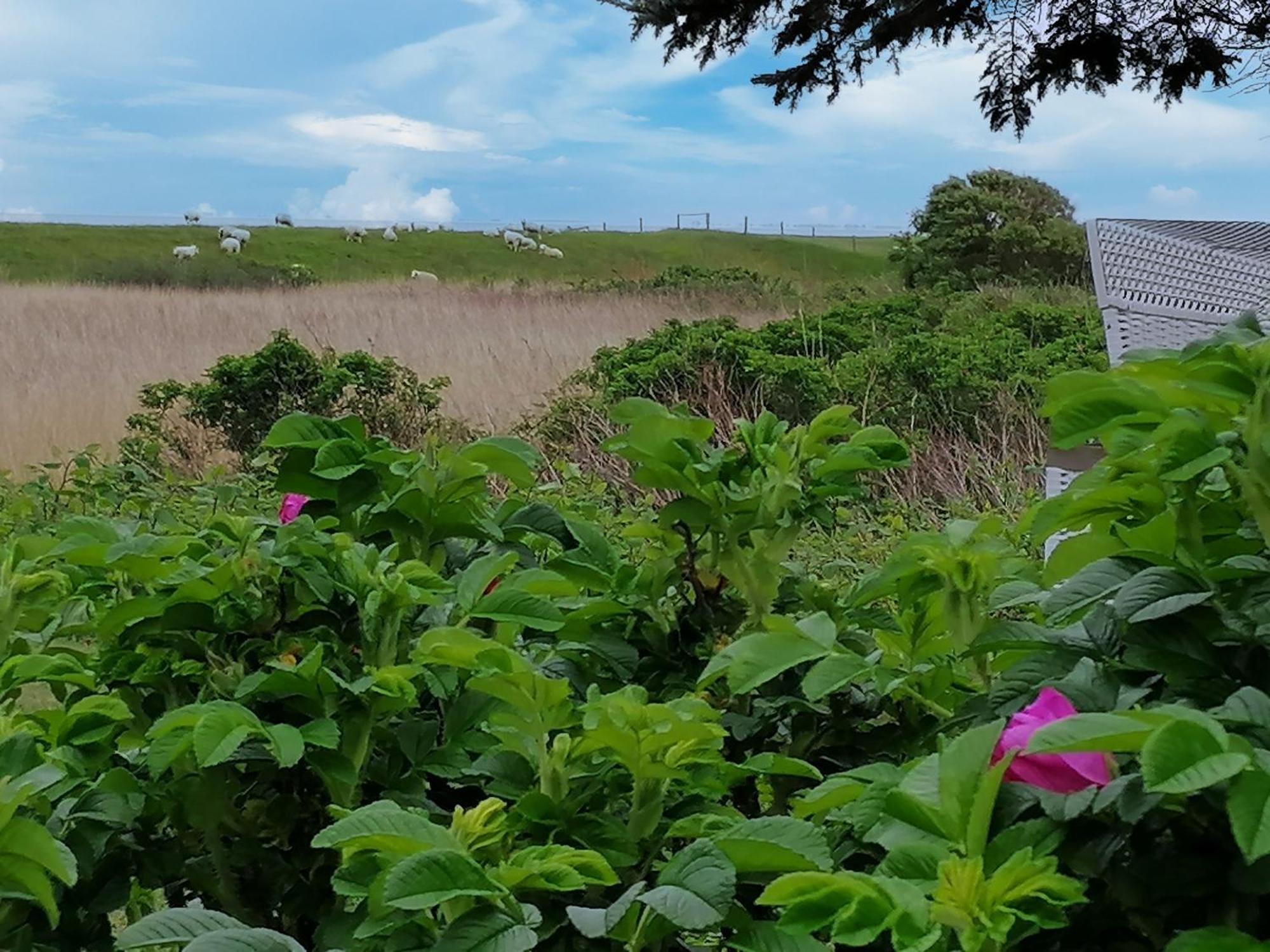 Ferienwohnungen Peters Sylt Luaran gambar